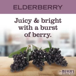 Mrs. Meyer's Clean Day Dish Soap - Elderberry - 16 Fl Oz -Cleaning Supply Store GUEST 04fc3386 67cc 41d5 9c51 6b62f204d1e3
