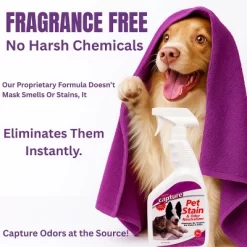 Capture Pet Stain And Odor Eliminator Spray - 32oz 10 Capture Pet Stain And Odor Eliminator Spray - 32oz -Cleaning Supply Store GUEST 0a469648 0c1a 4097 8f54 901e91949082