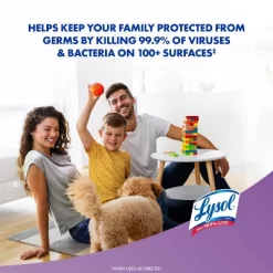Lysol Lavender Disinfecting Wipe - 80ct -Cleaning Supply Store GUEST 0aadf51f 1263 4a5c 9a42 6e00689e48a2