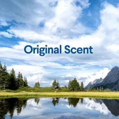 Clorox Clean-Up Cleaner Refill - 64 Fl Oz 24 Clorox Clean-Up Cleaner Refill - 64 Fl Oz -Cleaning Supply Store GUEST 0cbd50a7 bcda 4470 9603 0b79b0f0d776