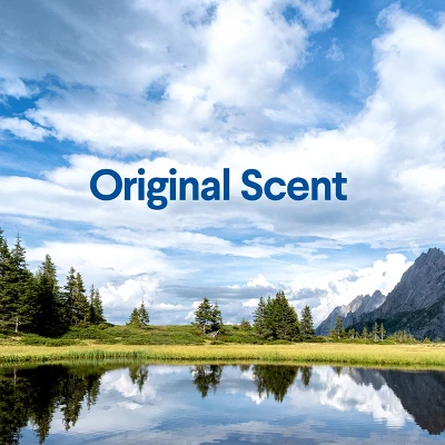 Clorox Clean-Up Cleaner Refill - 64 Fl Oz 8 Clorox Clean-Up Cleaner Refill - 64 Fl Oz - Image 6