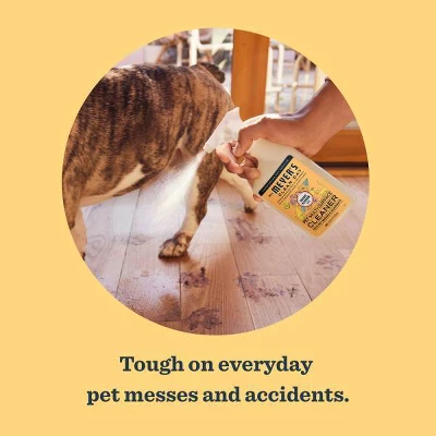 Mrs. Meyer's Clean Day Orange Blossom Scent Pet All Purpose Surface Cleaner - 16 Fl Oz 5 Mrs. Meyer's Clean Day Orange Blossom Scent Pet All Purpose Surface Cleaner - 16 Fl Oz - Image 3