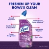 Lysol Lavender Liquid Toilet Bowl Cleaner - 48 Fl Oz/2ct 1 Lysol Lavender Liquid Toilet Bowl Cleaner - 48 Fl Oz/2ct -Cleaning Supply Store GUEST 0fae177c cbeb 4e3f 8dbf dc20c28a354e