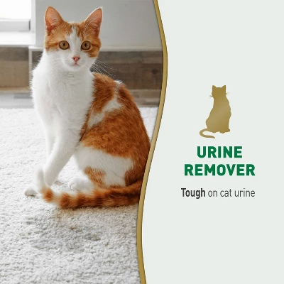Nature's Miracle Cat Urine Remover Spray - 24 Fl Oz 4 Nature's Miracle Cat Urine Remover Spray - 24 Fl Oz - Image 2