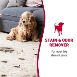 Cleaning Supply Store -Cleaning Supply Store GUEST 1cc56b2e 8bf8 4b75 a5ef 9f7b19d01b5e