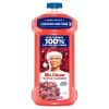 Mr. Clean Frosted Cranberry Multi-Surface Cleaner Liquid - 41 Fl Oz -Cleaning Supply Store GUEST 1e65f6f5 2a6a 4b20 8eb0 d02befec1168