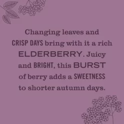 Mrs. Meyer's Clean Day Large Soy Candle - Elderberry - 7.2oz