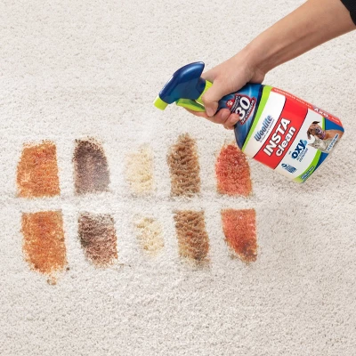 Woolite INSTAclean Pet Stain Liquid Remover - 22oz 4 Woolite INSTAclean Pet Stain Liquid Remover - 22oz - Image 2