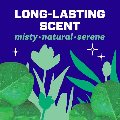 Mr. Clean Dilute Meadows & Rain Multi-Surface Cleaner 6 Mr. Clean Dilute Meadows & Rain Multi-Surface Cleaner - Image 4