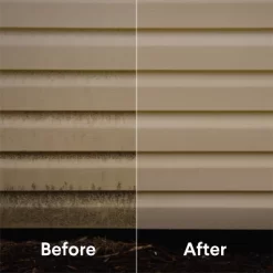 Clorox Disinfecting Bleach - Regular - 81oz -Cleaning Supply Store GUEST 3a17fad3 4f30 4e99 bae6 ab4f48939e10