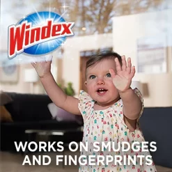 Windex Original Glass And Surface Pre-Moistened Wipes Window Cleaner - 38ct -Cleaning Supply Store GUEST 3d640b40 fc86 42f9 be8c 3e8a2e9c6df6
