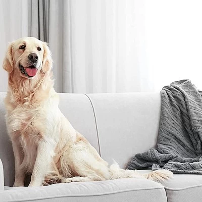 ZEP Enforcer Flea Killer For Carpet Fresh Linen - 20 Oz. 6 ZEP Enforcer Flea Killer For Carpet Fresh Linen - 20 Oz. - Image 4