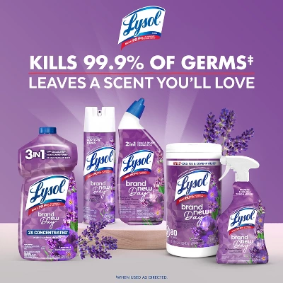 Lysol Lavender Liquid Toilet Bowl Cleaner - 48 Fl Oz/2ct 7 Lysol Lavender Liquid Toilet Bowl Cleaner - 48 Fl Oz/2ct - Image 5