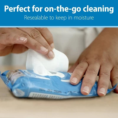 Dr. Brown's Bottle And Pacifier Healthy Wipes - 120ct 6 Dr. Brown's Bottle And Pacifier Healthy Wipes - 120ct - Image 4