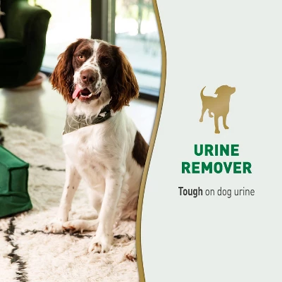 Nature's Miracle Unscented Enzymatic Formula Urine Stain Remover For Dogs - 1gal 4 Nature's Miracle Unscented Enzymatic Formula Urine Stain Remover For Dogs - 1gal - Image 2