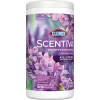 Clorox Scentiva Disinfecting Wipes - Lavender - 75ct