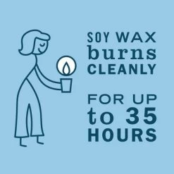 Mrs. Meyer's Clean Day Jar Candle - Rain Water - Large - 7.2oz -Cleaning Supply Store GUEST 5cfef666 b34f 45f7 bc05 c7afd8f3fe3f