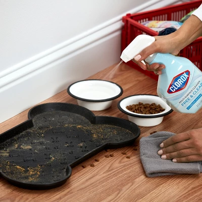 Clorox Free & Clear Multi-Surface Cleaner - 32 Fl Oz 6 Clorox Free & Clear Multi-Surface Cleaner - 32 Fl Oz - Image 4