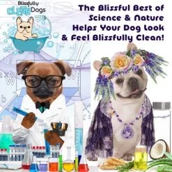The Blissful Dog Simply CC Canine Cologne 14 The Blissful Dog Simply CC Canine Cologne -Cleaning Supply Store GUEST 5f49f6d6 247c 4498 b79e 4ed15b599ba3 1