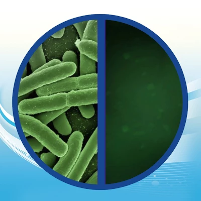 Lysol Crisp Linen Disinfecting Wipes - 80ct 3 Lysol Crisp Linen Disinfecting Wipes - 80ct