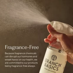 Branch Basics Fragrance-Free Stain Remover - 16 Fl Oz -Cleaning Supply Store GUEST 67fc62d6 9bce 400a 8cc0 c21a6fdf38c4