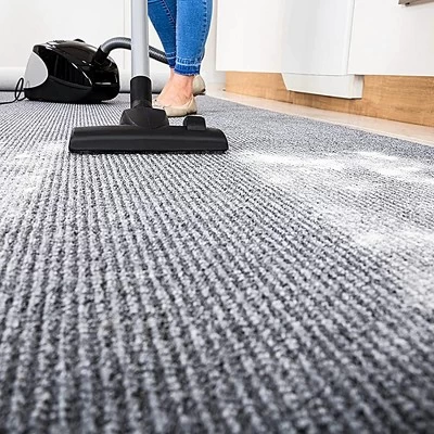 ZEP Enforcer Flea Killer For Carpet Fresh Linen - 20 Oz. 4 ZEP Enforcer Flea Killer For Carpet Fresh Linen - 20 Oz. - Image 2