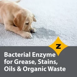 Zeiff Pro-Grade Multi-Purpose Probiotic Enzyme Cleaner - Powerful Cleaning & Odor Eliminating Formula For Professional & Home Surfaces, 32 Oz, Citrus -Cleaning Supply Store GUEST 6c0b2ee5 9672 4199 b254 28119dbd593d