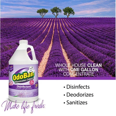 OdoBan Ready To Use Liquid Fabric And Air Freshener Disinfectant - Lavender 4 OdoBan Ready To Use Liquid Fabric And Air Freshener Disinfectant - Lavender - Image 2