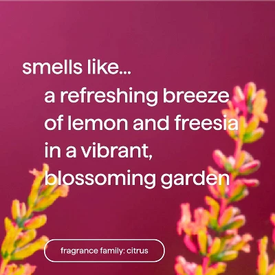 Method Lemon + Freesia All Purpose Cleaner - 28 Fl Oz 5 Method Lemon + Freesia All Purpose Cleaner - 28 Fl Oz - Image 3