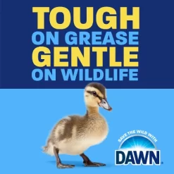 Dawn Ultra Clean Scent Ez-Squeeze Dishwashing Liquid Dish Soap -Cleaning Supply Store GUEST 73d99460 c2fb 4590 9936 004ebd9f285c