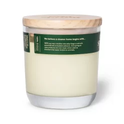 Mandarin & Ginger 100% Soy Wax Candle - Everspring™ -Cleaning Supply Store GUEST 7a2f7f38 a3bb 487c 98bc cea55616b677