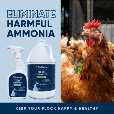 Chicken Coop Odor Eliminator 5 Chicken Coop Odor Eliminator - Image 3