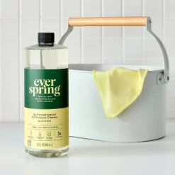 Lemon & Mint Ultra-Concentrated All Purpose Cleaner - 32oz - Everspring™