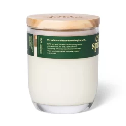 Lemon & Mint 100% Soy Wax Candle - Everspring™ -Cleaning Supply Store GUEST 888bf71e 36c7 44de 8b00 1ffae715c93c