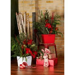 Behrens Rectangular Galvanized Steel Bucket Red -Cleaning Supply Store GUEST 8acb082a eb40 4641 b6cb 369ef06fcf7c