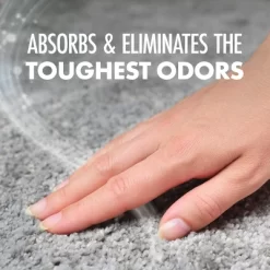 Arm & Hammer Carpet & Room Extra Strength Odor Eliminator - 42.6oz -Cleaning Supply Store GUEST 92fc0587 0ade 42e1 813e a4d9e202661c