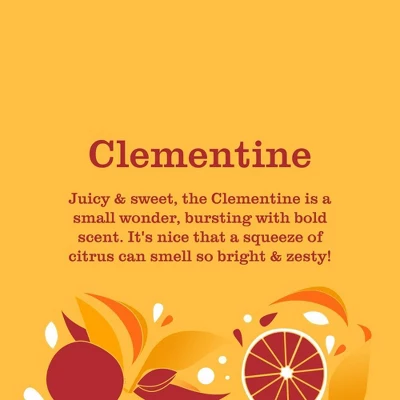 Mrs. Meyer's Clean Day Dish Soap - Clementine - 16 Fl Oz 7 Mrs. Meyer's Clean Day Dish Soap - Clementine - 16 Fl Oz - Image 5