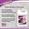 Capture Pet Stain & Odor Eliminator, Enzyme Carpet Cleaner Spray, Deodorizer, & Couch Cleaner, Enzyme Cleaner For Cat Urine, Pet Odor Remover For Home 1 Capture Pet Stain & Odor Eliminator, Enzyme Carpet Cleaner Spray, Deodorizer, & Couch Cleaner, Enzyme Cleaner For Cat Urine, Pet Odor Remover For Home -Cleaning Supply Store GUEST 98857ea1 caa1 46a7 be6c 89008c289287