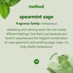 Method Spearmint Sage Squirt + Mop Hard Floor Cleaner - 25 Fl Oz -Cleaning Supply Store GUEST 9ad3cd88 af1a 4226 8798 987a001a9b30