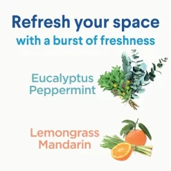 Clorox Eucalyptus Peppermint Ready-to-Use Disinfecting Mist - 16 Fl Oz 28 Clorox Eucalyptus Peppermint Ready-to-Use Disinfecting Mist - 16 Fl Oz -Cleaning Supply Store GUEST 9ec0c824 6163 4f36 87b5 b76ac33c3384 1