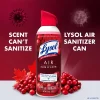 Lysol Aerosol Air Sanitizer - Berry Burst - 10oz -Cleaning Supply Store GUEST a2656675 d110 411a ba03 2940347342fd