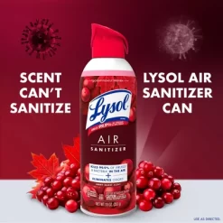 Lysol Aerosol Air Sanitizer - Berry Burst - 10oz
