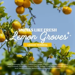 Cleancult All Purpose Cleaner - Refillable Aluminum Bottle - Lemon Verbena - 16 Fl Oz -Cleaning Supply Store GUEST a33679cb 1654 4d45 a0c3 3d49ef2622ba