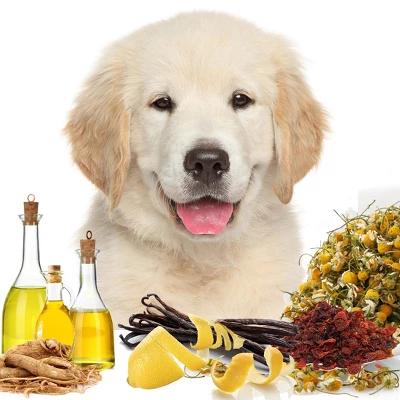 The Blissful Dog Simply CC Canine Cologne 6 The Blissful Dog Simply CC Canine Cologne - Image 4