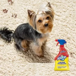Resolve Pet Stain Urine Destroyer - 32 Fl Oz 21 Resolve Pet Stain Urine Destroyer - 32 Fl Oz -Cleaning Supply Store GUEST b28a7e1c 5f7f 4eee 8bc4 05fb09efd076