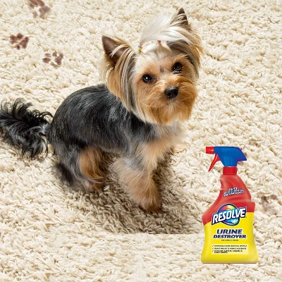 Resolve Pet Stain Urine Destroyer - 32 Fl Oz 6 Resolve Pet Stain Urine Destroyer - 32 Fl Oz - Image 4