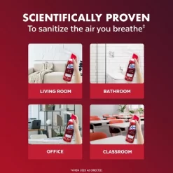 Lysol Aerosol Air Sanitizer - Berry Burst - 10oz -Cleaning Supply Store GUEST ba66b463 4094 4d57 847d 7927170860ae