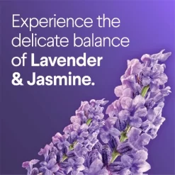 Clorox Scentiva Lavender & Jasmine ToiletWand Pad Cleaner Refills - 10ct -Cleaning Supply Store GUEST bc82b644 6771 4857 8106 79873ef06b92