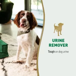 Nature's Miracle Dog Urine Remover Spray - 24 Fl Oz -Cleaning Supply Store GUEST bd1e32e8 0bfe 4c79 8ae2 0ca26affac84