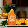 Angry Orange Enzyme Spray Stain Remover - 24oz -Cleaning Supply Store GUEST c2002773 71c0 447a 9ecf 74eac2a2904b